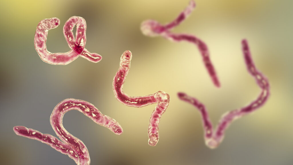 parasite treatment for humans guide
